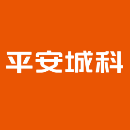 中标平安城科关于深圳财政局oa系列开发项目